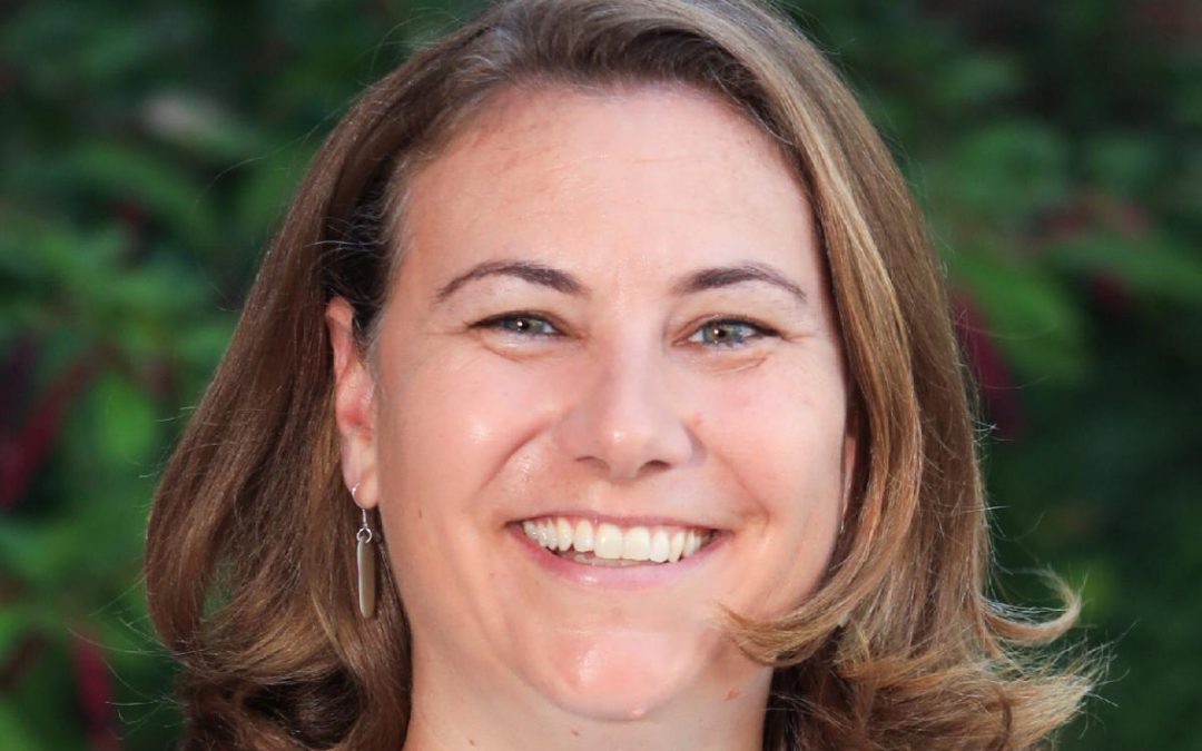 Spring Updates from Dr. B